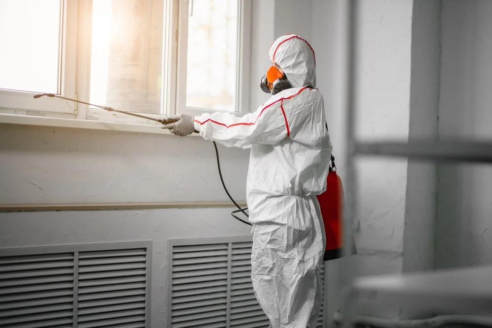 Professional mold remediation services in Ochopee, FL